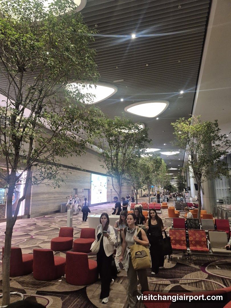 Airport Terminal Interior