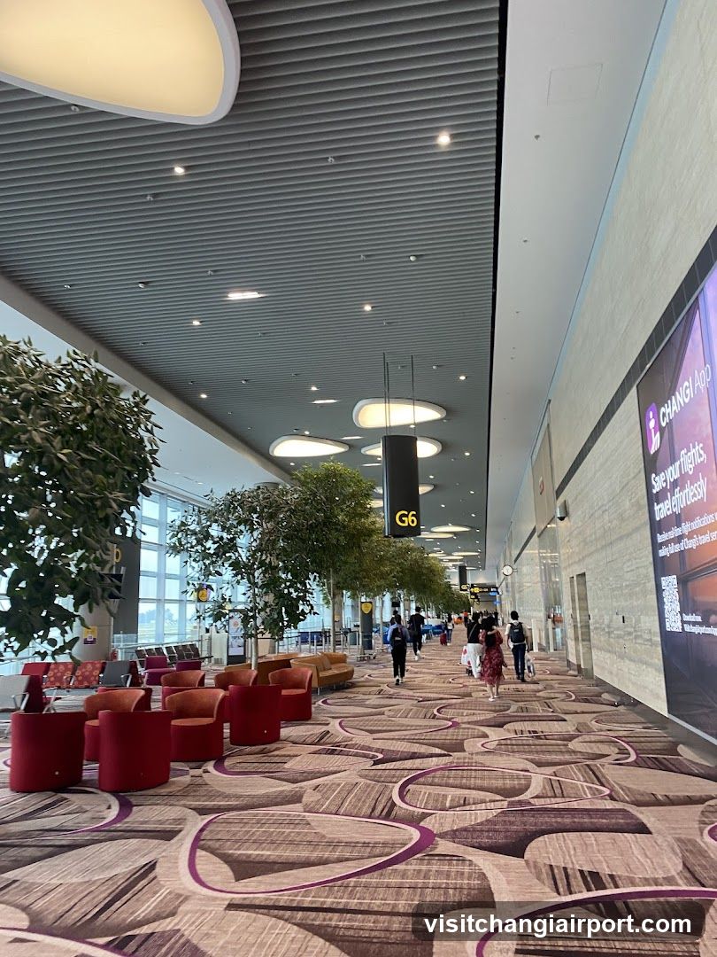 Airport Terminal Interior