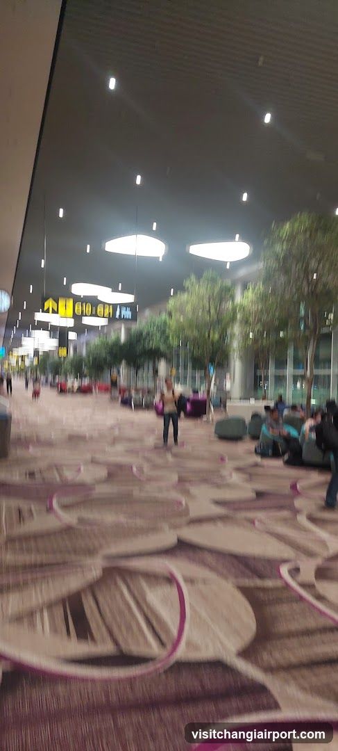 Sunglass Hut Changi T4 (Transit)