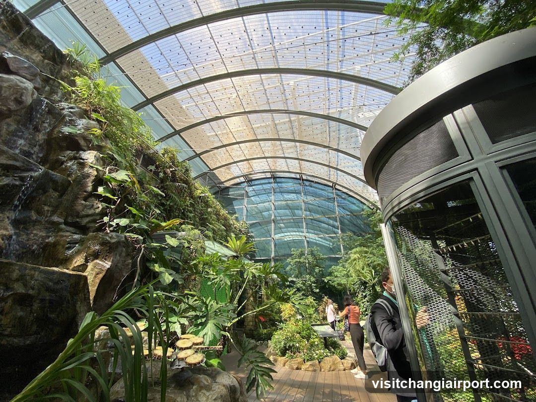 Indoor Garden View
