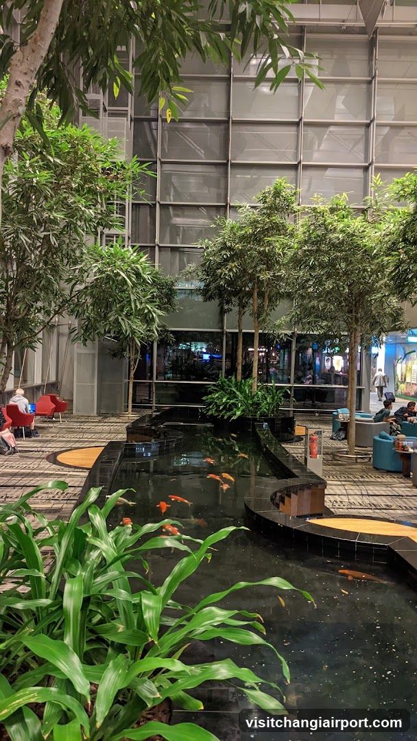 Indoor Garden with Koi Pond