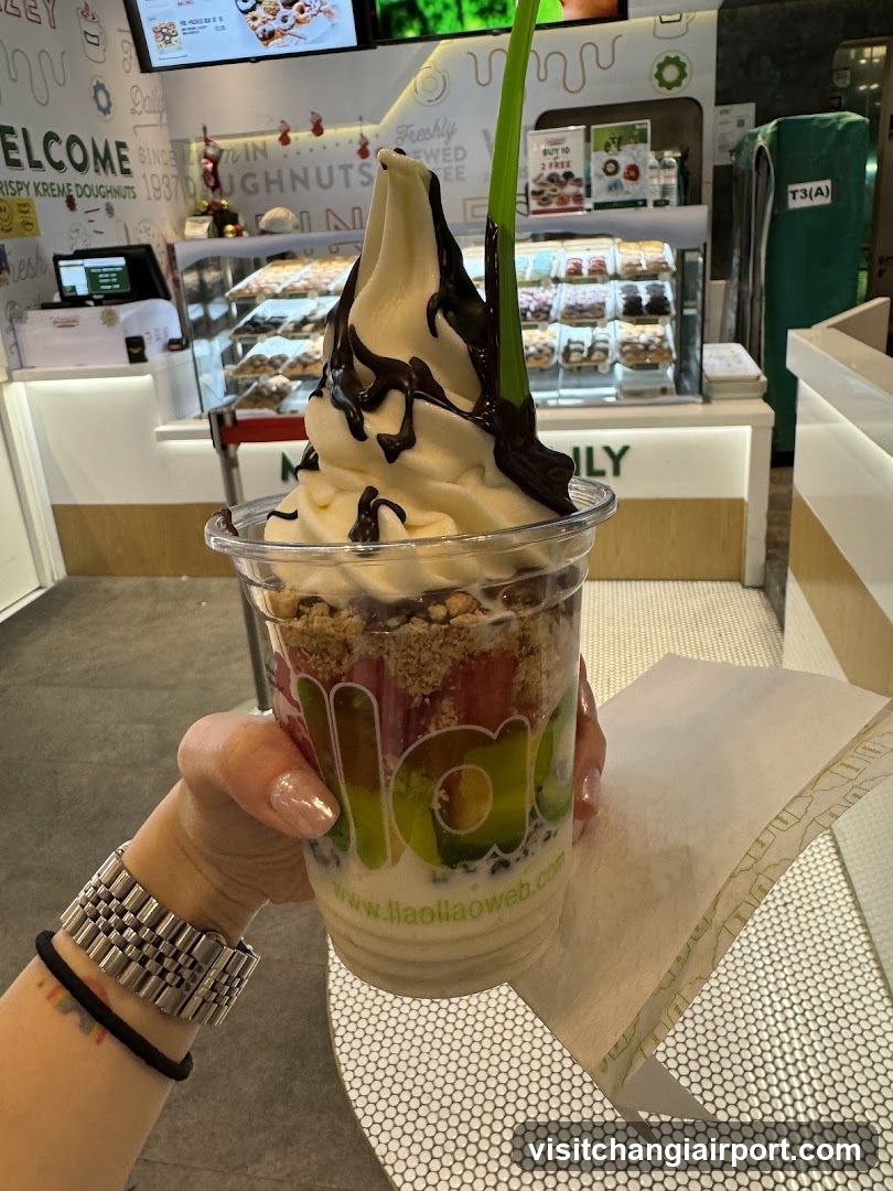 Frozen Yogurt Dessert with Chocolate Drizzle