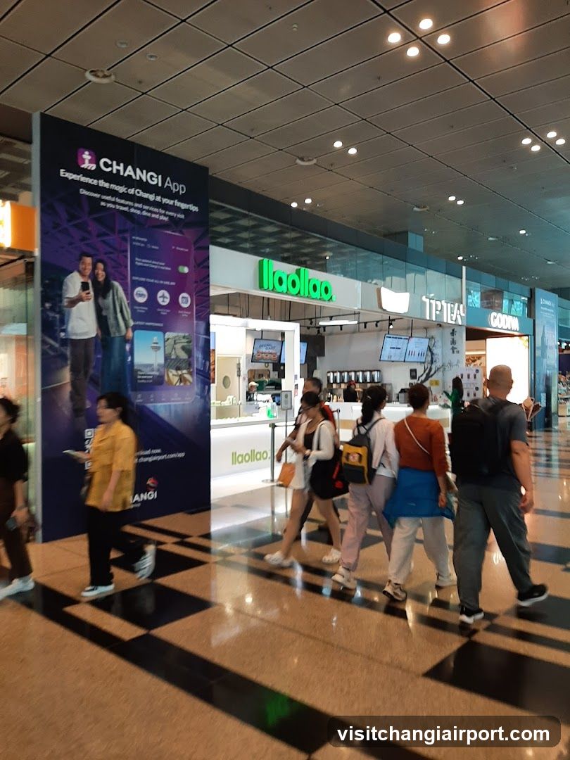 Changi Airport Terminal Interior
