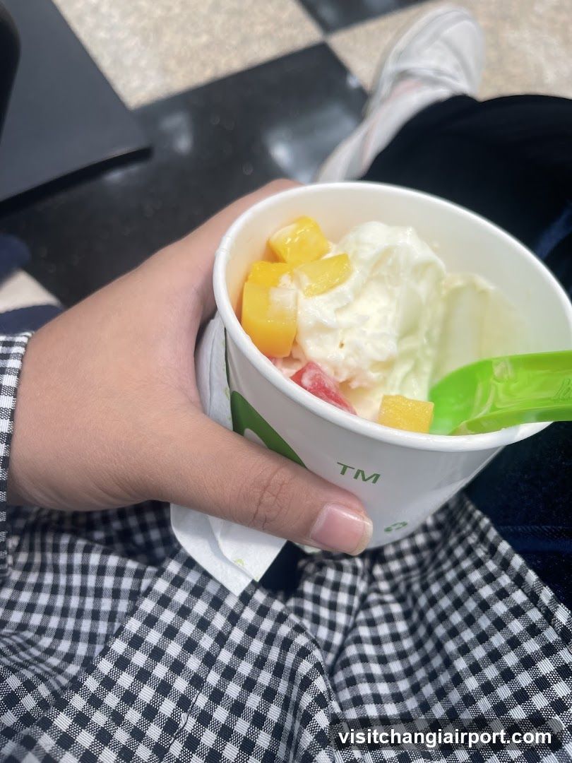 Fruit Yogurt Bowl