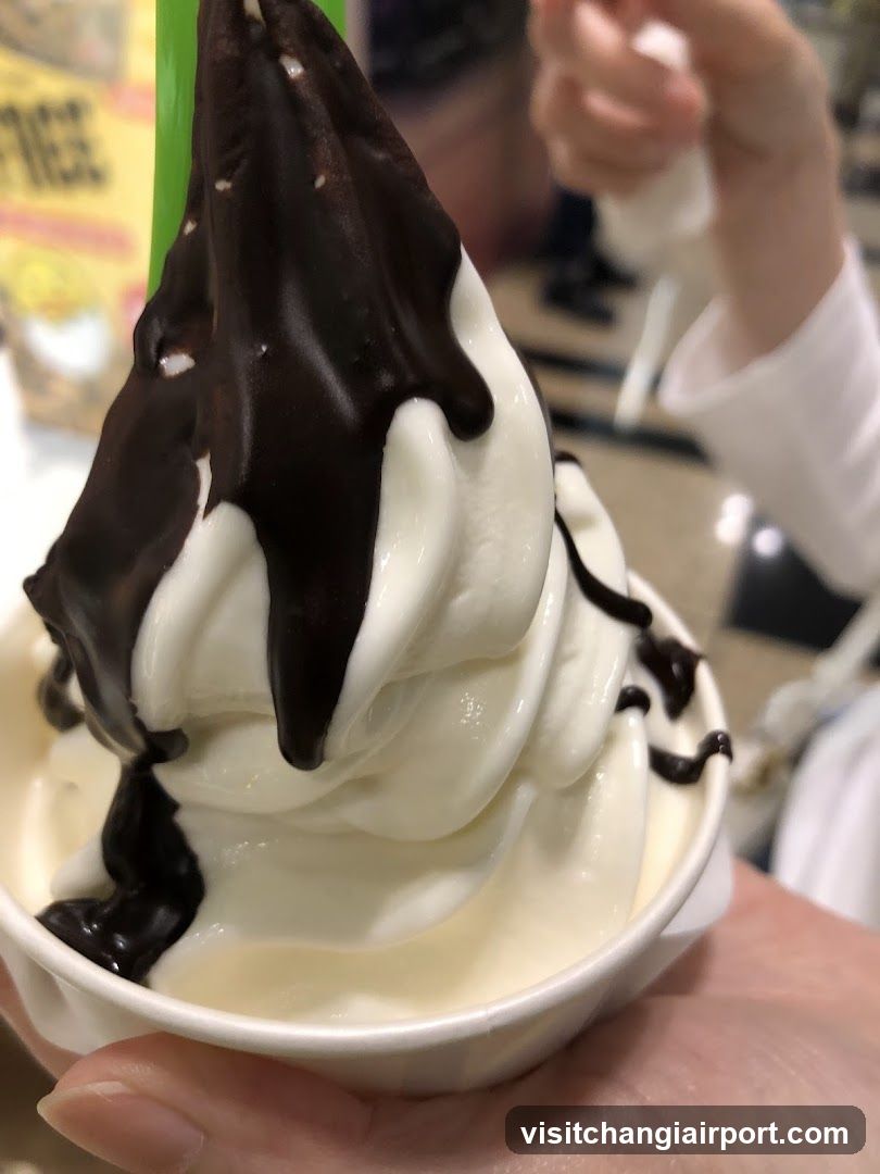 Chocolate Drizzle Soft Serve Ice Cream