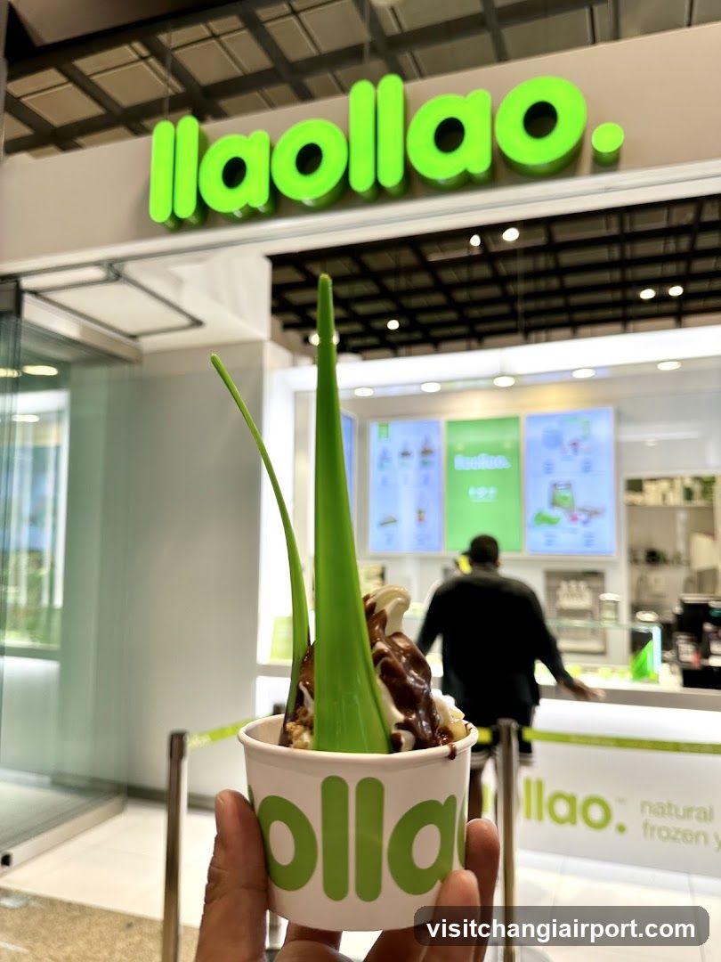 Ilaollao Ice Cream Cup in Storefront