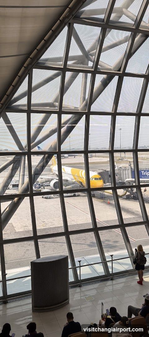 Airport Terminal View