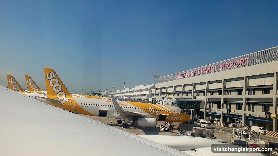 Singapore Changi Airport Scoot Planes