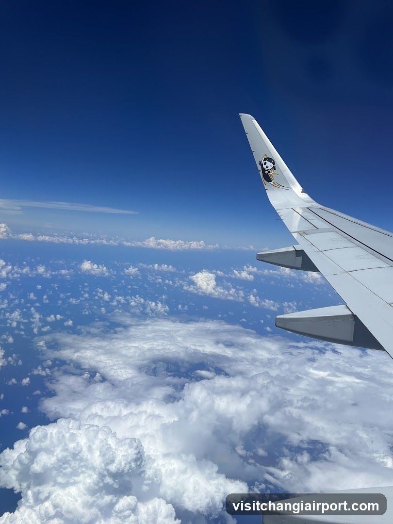 Aerial View from Airplane Window