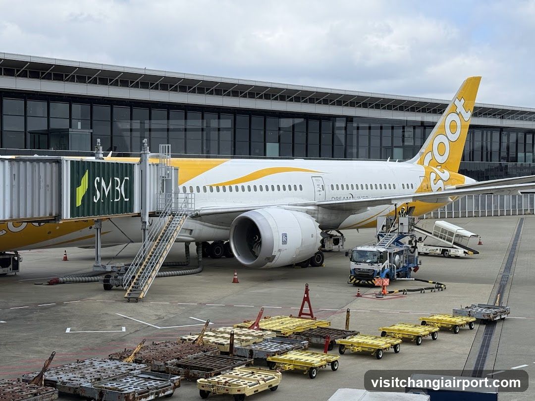 Aircraft at Airport Terminal