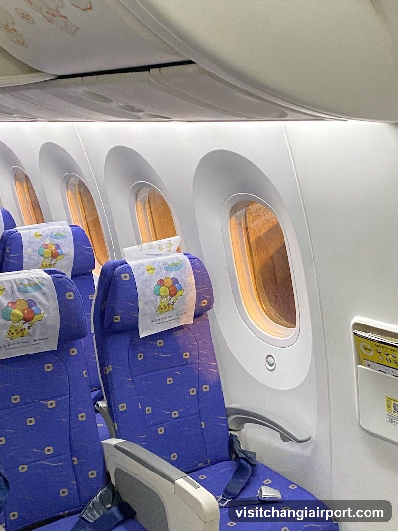 Airplane Interior with Seats and Windows