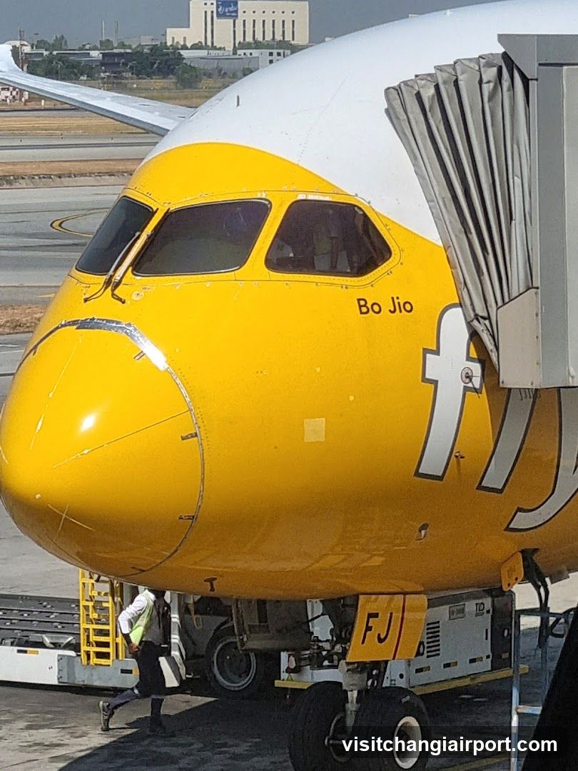 Bo Jio Airplane Nose