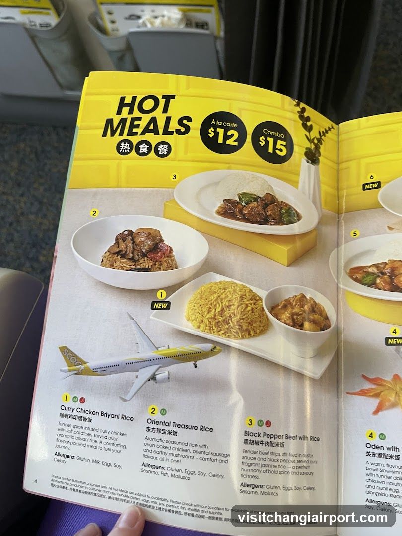 Aircraft Meal Menu