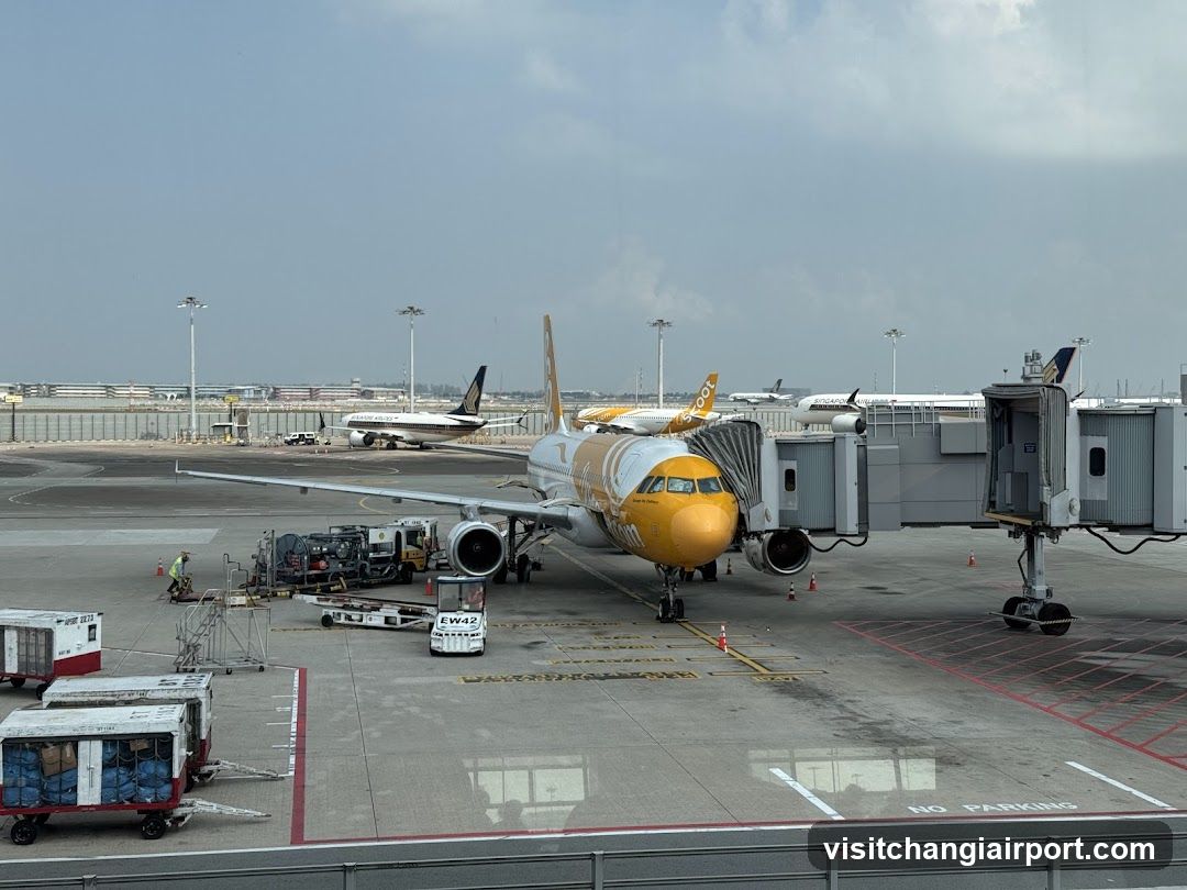 Airport Tarmac Scene