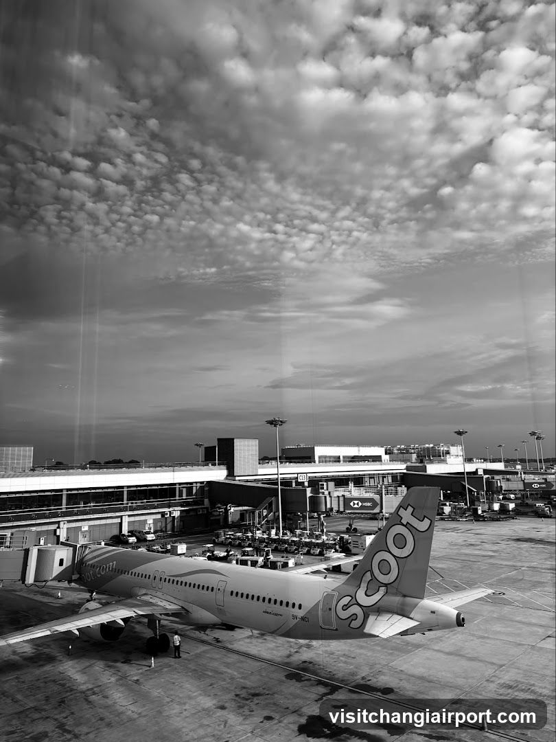 Airport Terminal View with Scoot Aircraft