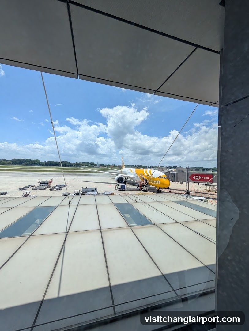 Airport Terminal View
