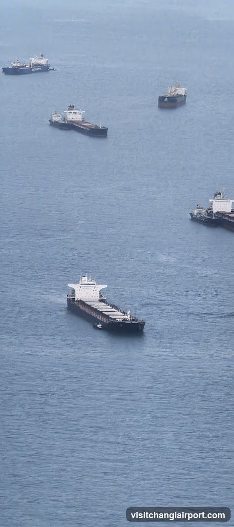 Ships at Sea
