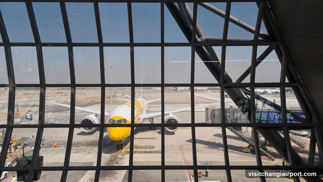 Airport Terminal View