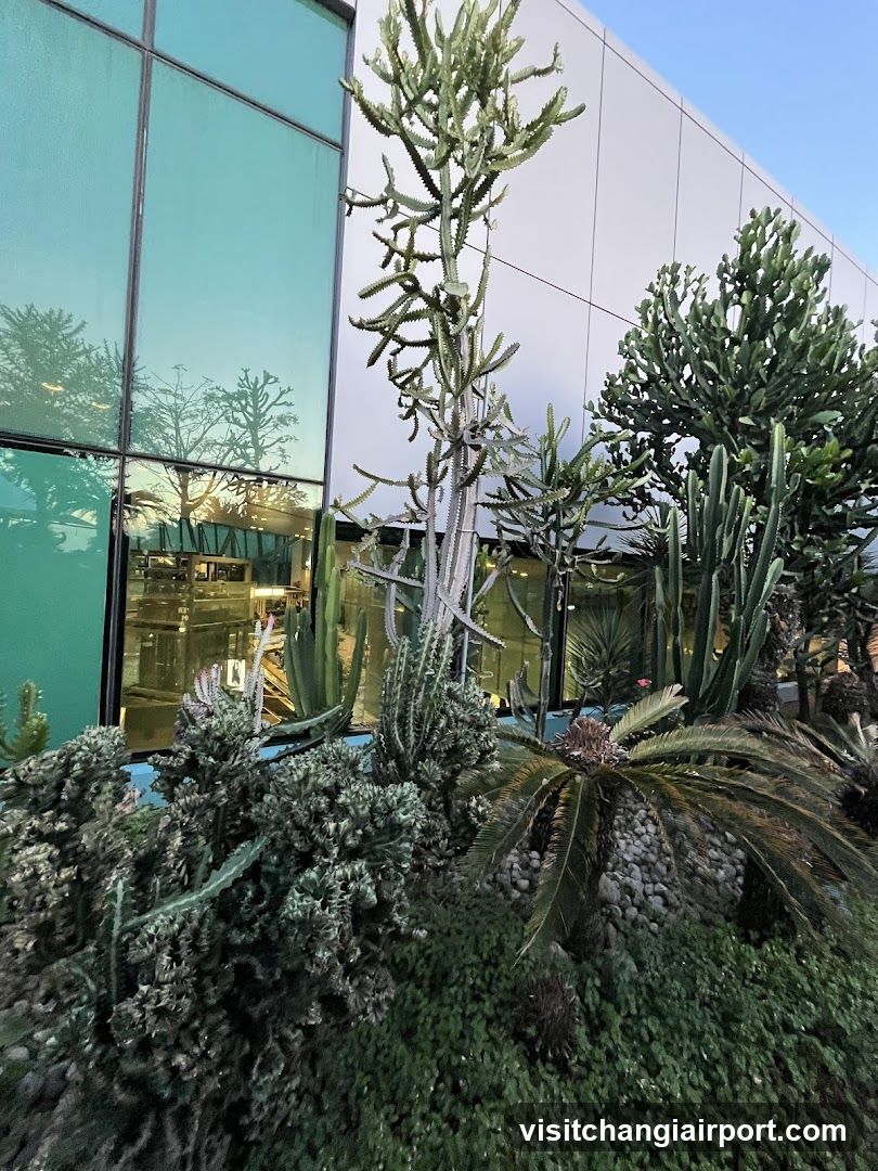 Cactus Garden Exterior