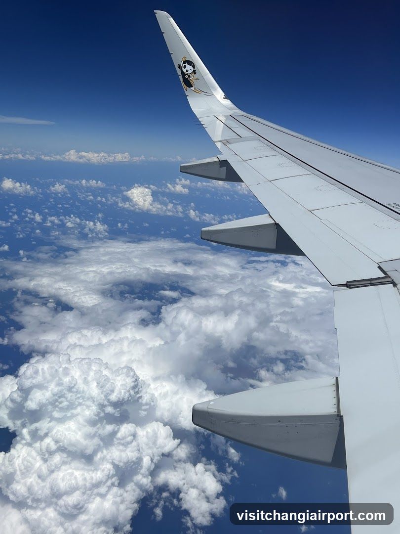 Aircraft Wing View from Above Clouds