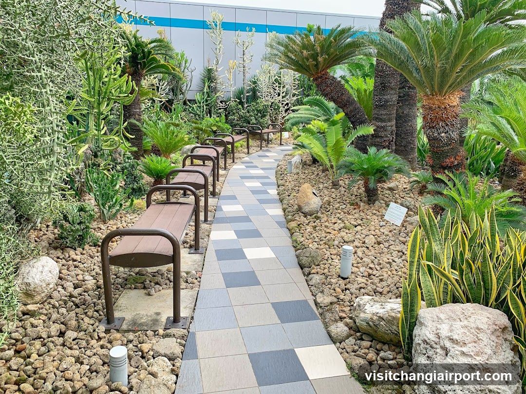 Garden Path with Benches and Plants