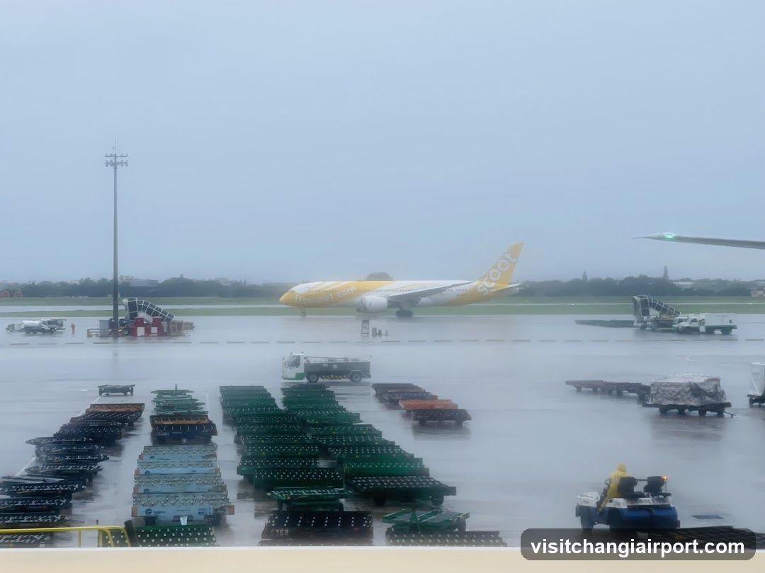 Airport Tarmac with Scoot Aircraft