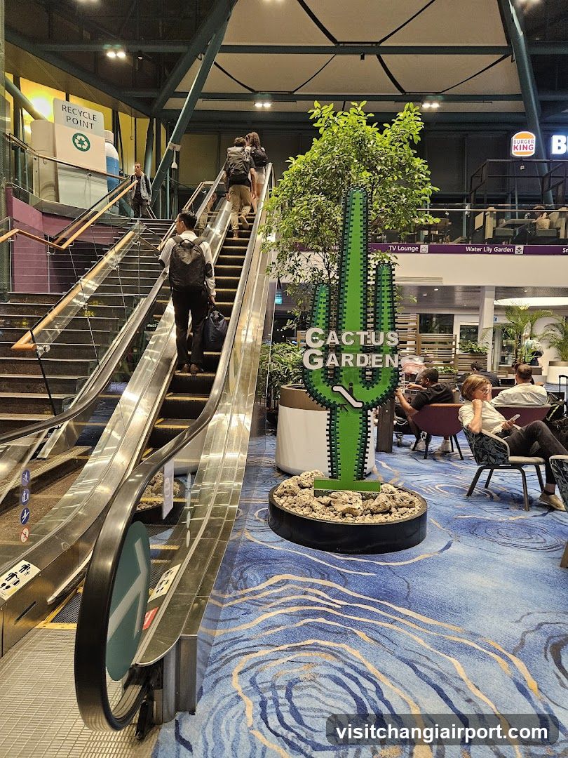 Cactus Garden Interior Scene