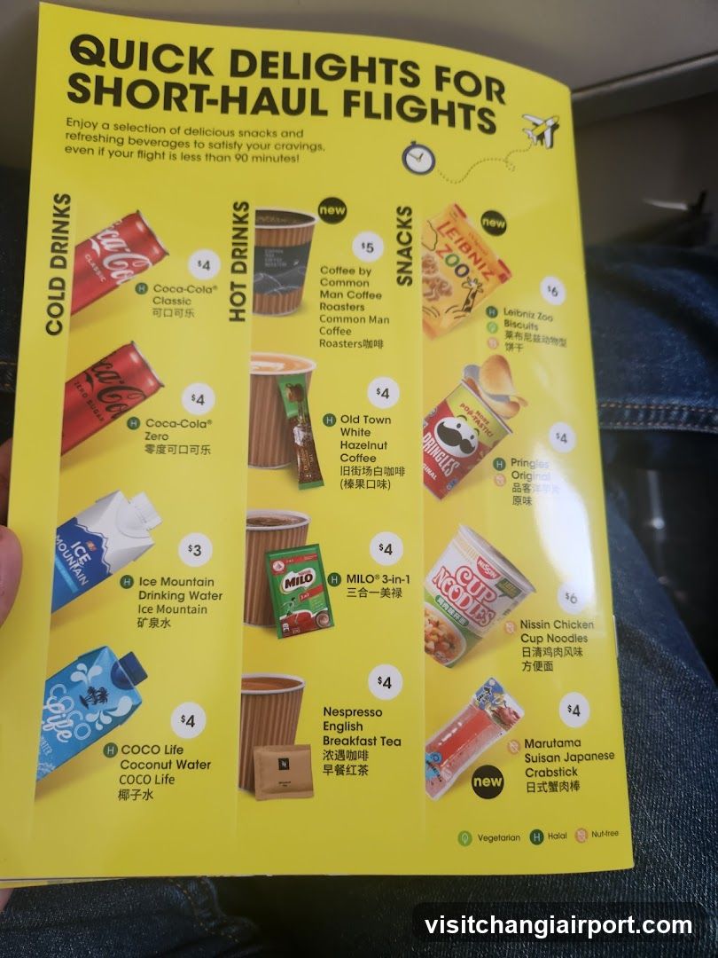 Quick Delights for Short-Haul Flights Menu