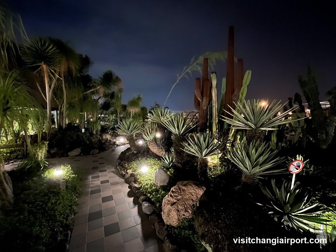 Night Garden Pathway with Succulents and Cacti