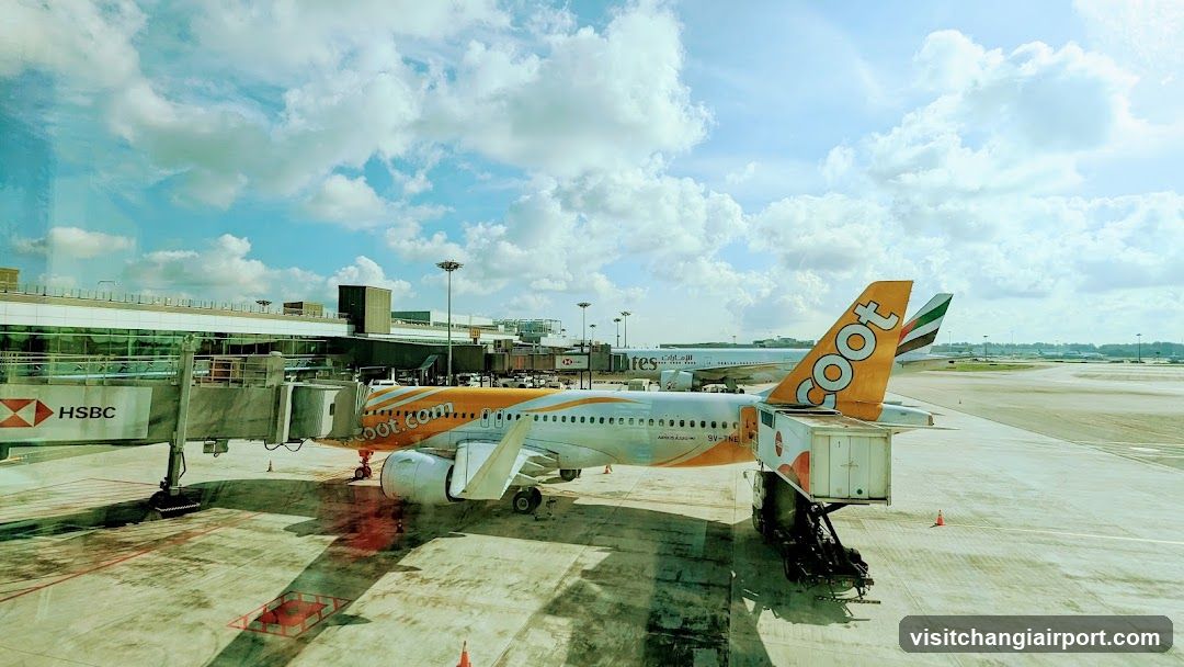 Airport Tarmac with Coot Airlines Plane