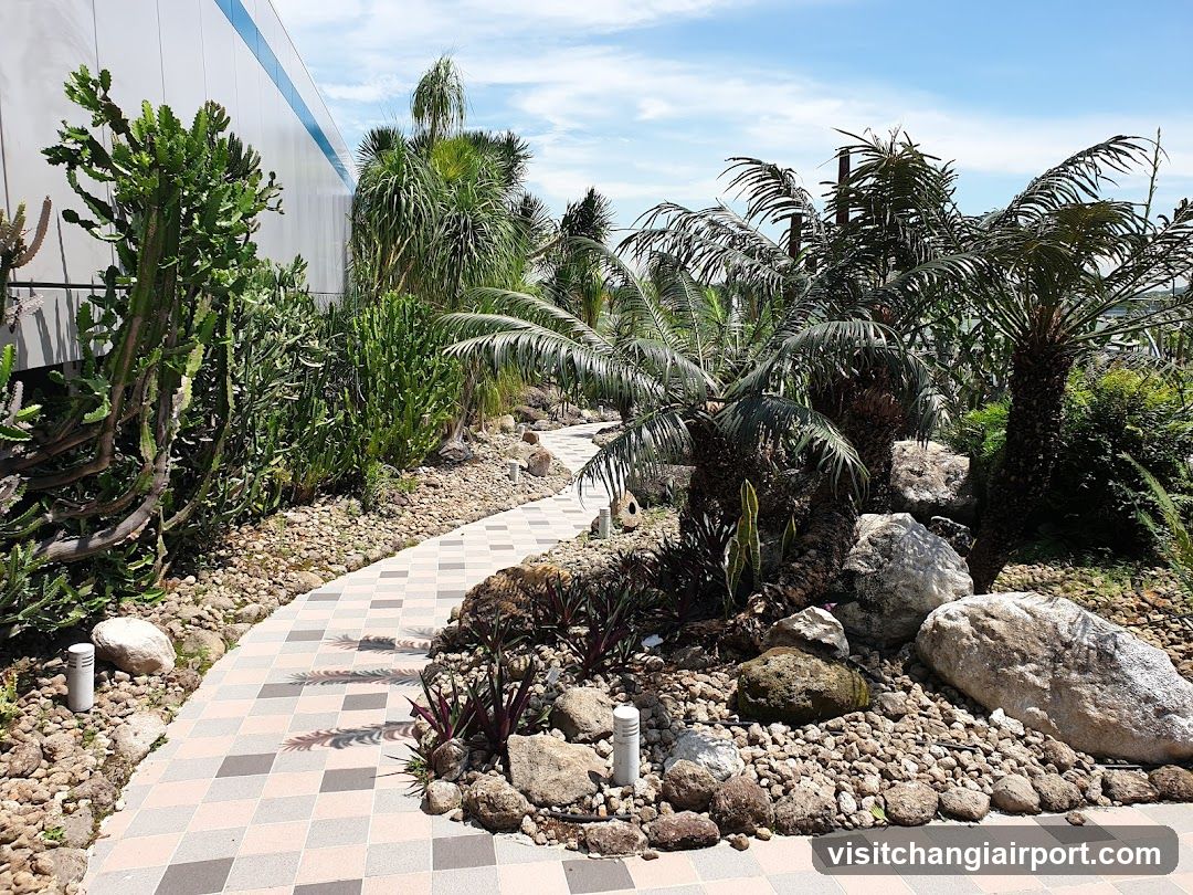 Garden Pathway with Tropical Plants