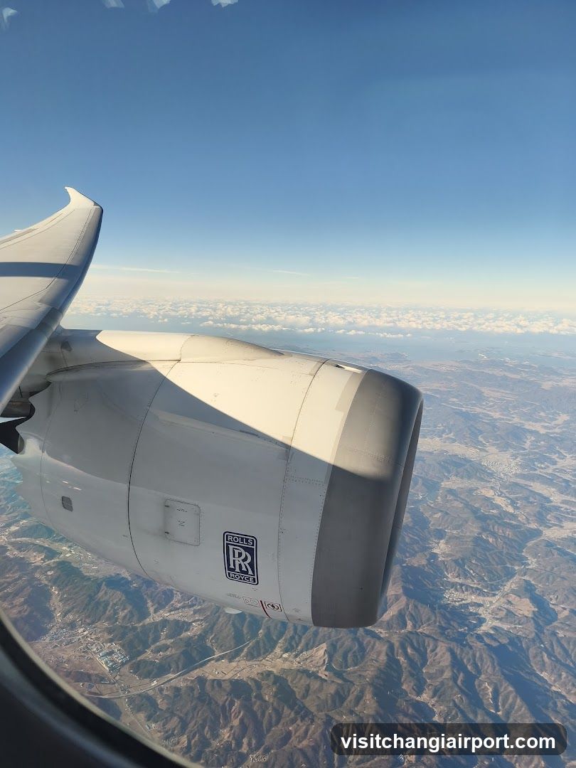 Aircraft Engine View from Window