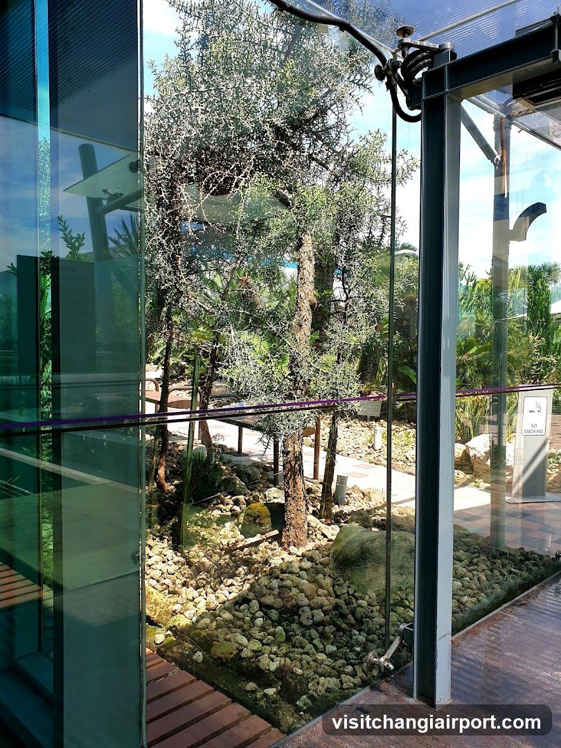 Glass Enclosed Garden View