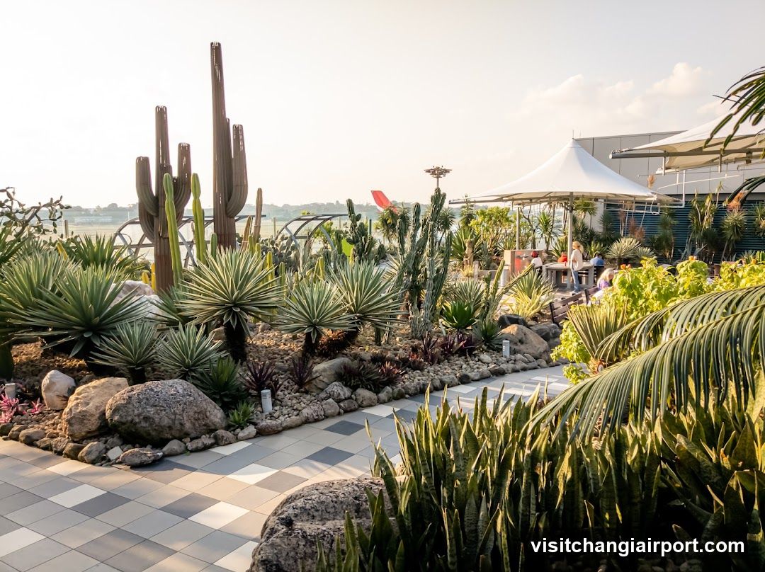 Cactus Garden with Outdoor Seating Area