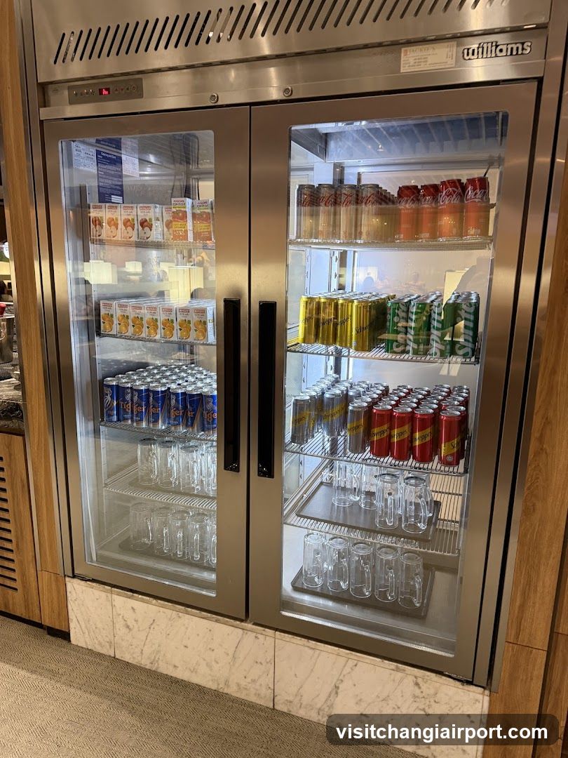 Krisflyer Gold Lounge - Terminal 2