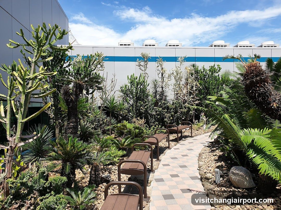 Outdoor Garden Pathway with Succulents and Benches