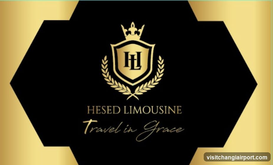HeSED Limousine Logo Design