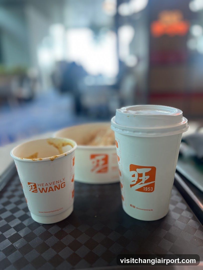 Heavenly Wang @ Changi Airport Terminal 1 Departure