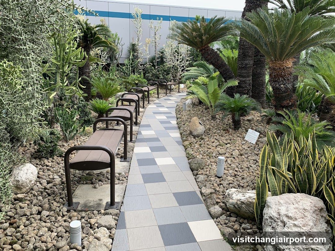 Garden Pathway with Benches and Plants