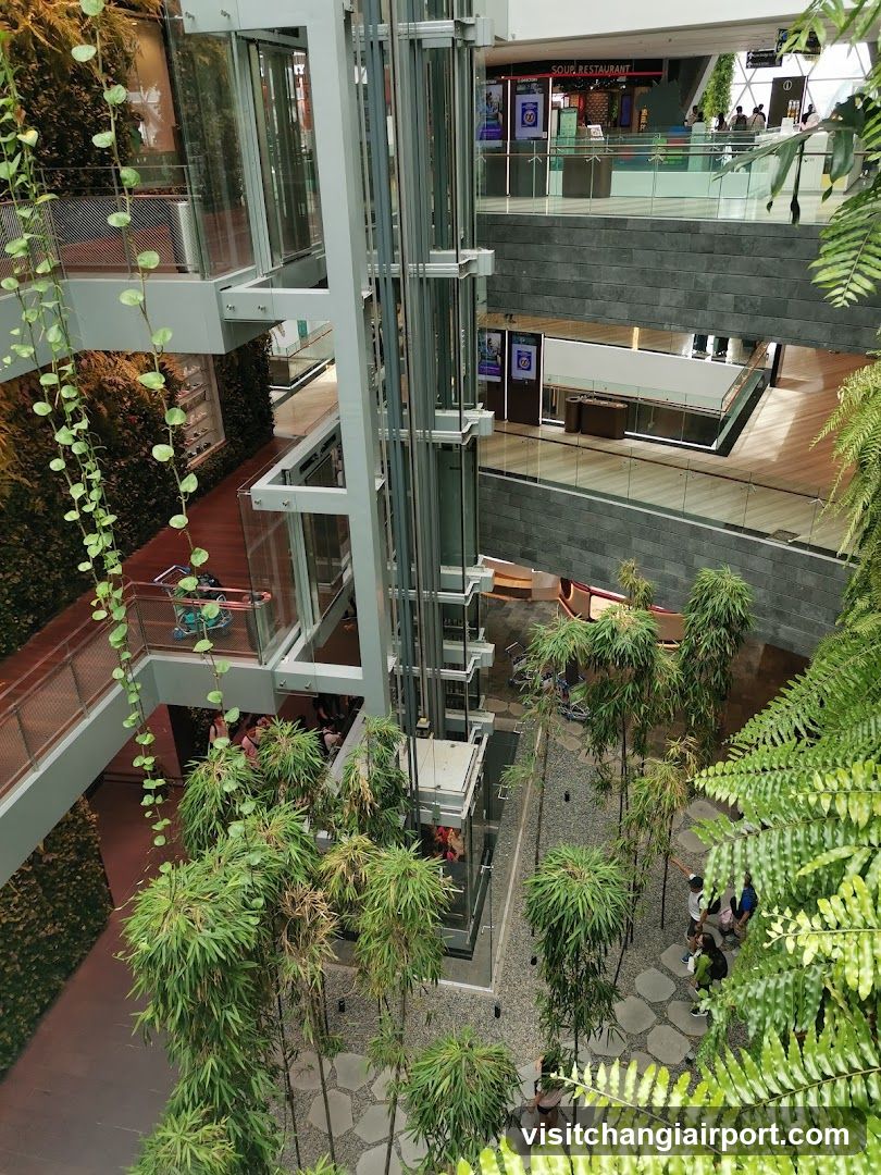 Mall Interior with Vertical Garden and Elevator