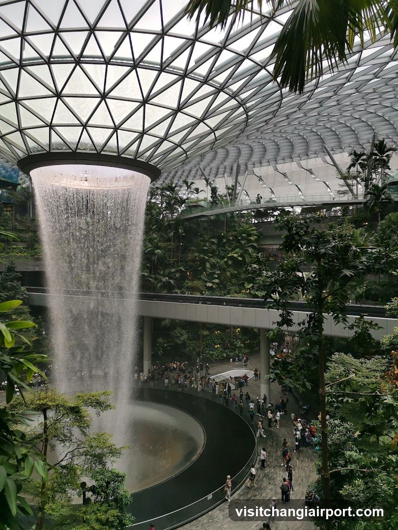 The Rain Vortex at Jewel Changi Airport