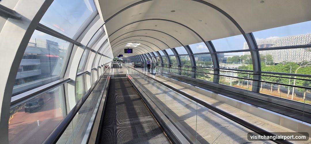 Airport Pedestrian Walkway