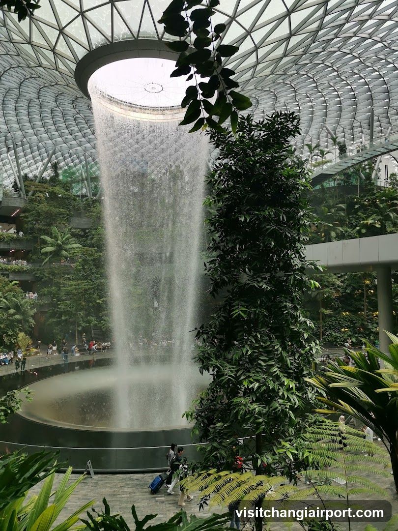 Indoor Waterfall Garden