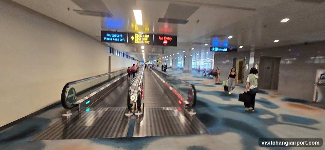 Airport Terminal Interior