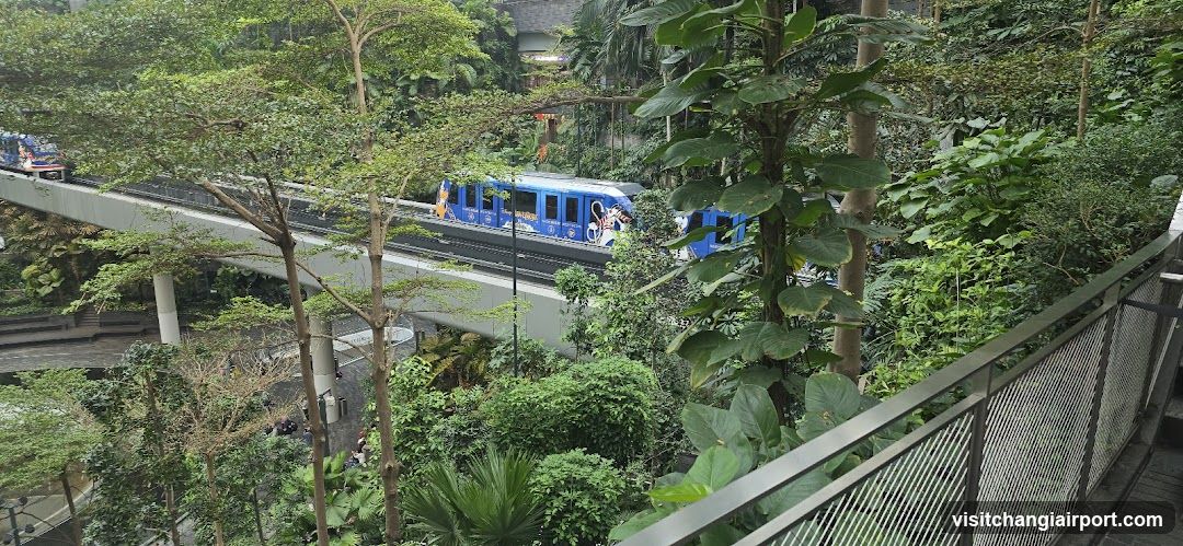 Blue Train in Jungle Setting