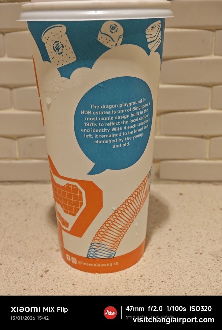 Dragon Playground Cup