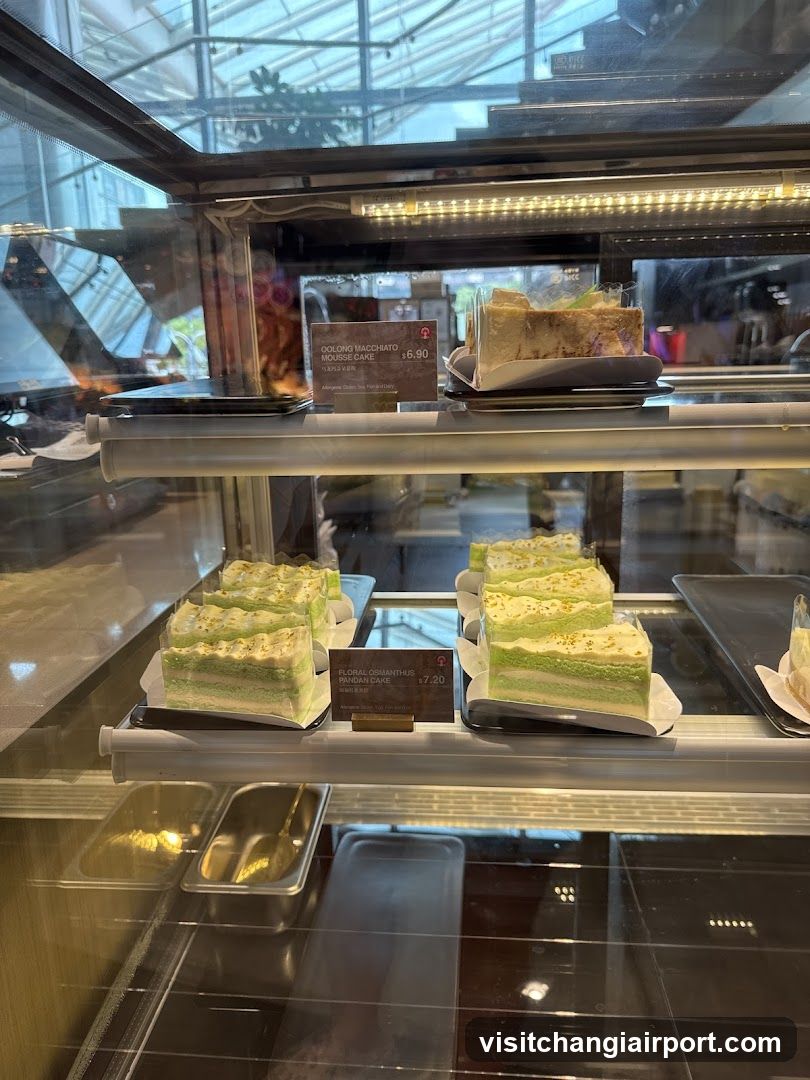 Cake Display Case