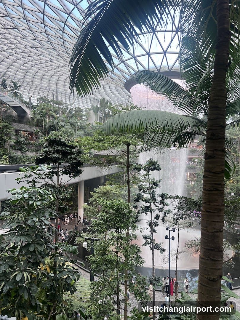 Indoor Tropical Garden with Waterfall