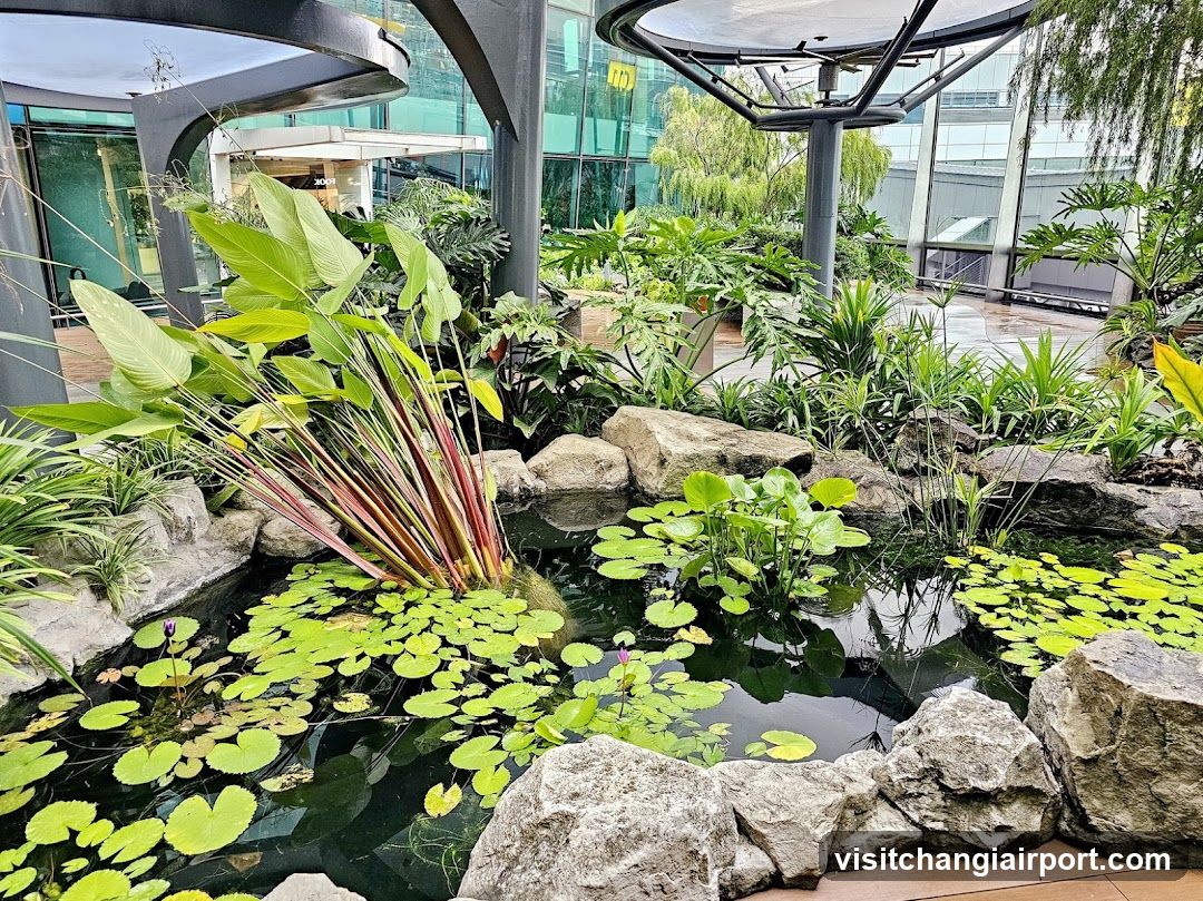 Indoor Garden Pond Scene
