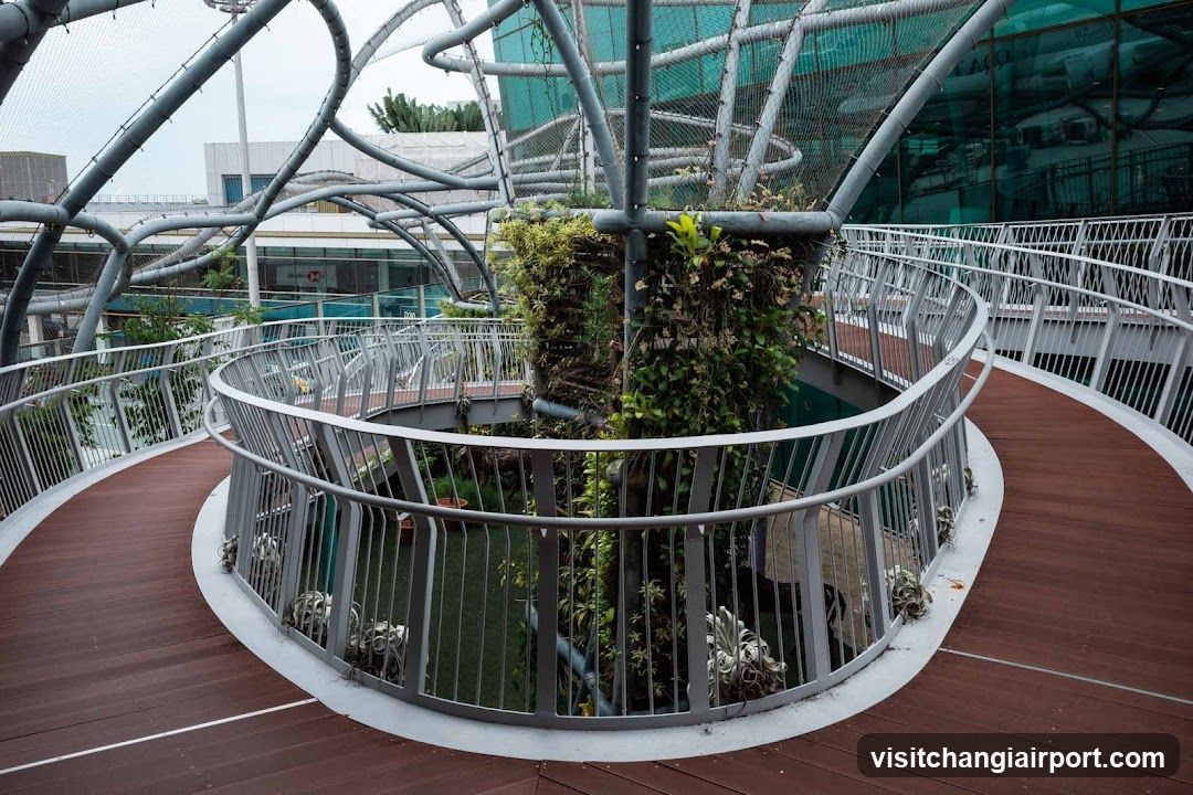 Vertical Garden Walkway